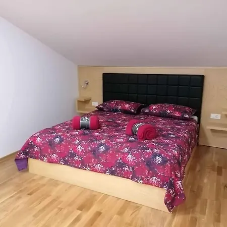 Comfortable Seaview App Lejlighed *